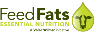 Feed Fats: Essential Nutrition