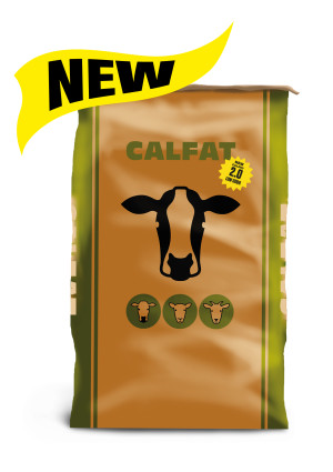 Calfat 2.0 new product detail